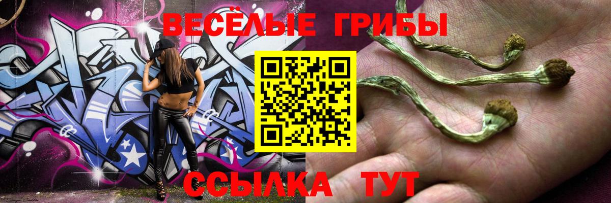 Галлюциногенные грибы прущие грибы  Вход с VPN  Строитель 
