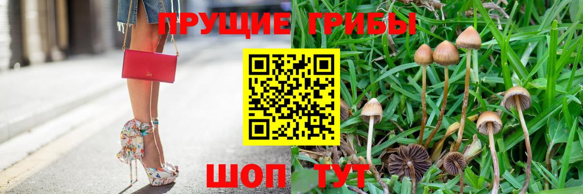 Галлюциногенные грибы Cubensis Строитель